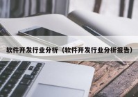 軟件開(kāi)發(fā)行業(yè)分析（軟件開(kāi)發(fā)行業(yè)分析報(bào)告）