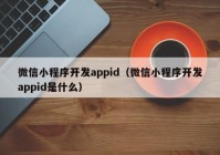 微信小程序開(kāi)發(fā)appid（微信小程序開(kāi)發(fā)appid是什么）