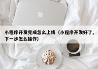 小程序開(kāi)發(fā)完成怎么上線（小程序開(kāi)發(fā)好了,下一步怎么操作）