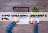 公司平臺(tái)軟件開發(fā)維護(hù)職位（軟件開發(fā)維護(hù)是干什么）