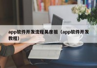 app軟件開(kāi)發(fā)流程吳彥祖（app軟件開(kāi)發(fā)教程）