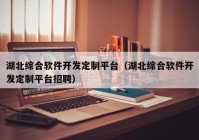 湖北綜合軟件開發(fā)定制平臺（湖北綜合軟件開發(fā)定制平臺招聘）