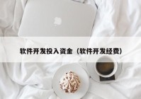 軟件開發(fā)投入資金（軟件開發(fā)經(jīng)費(fèi)）