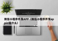 微信小程序開(kāi)發(fā)APP（微信小程序開(kāi)發(fā)appid是什么）