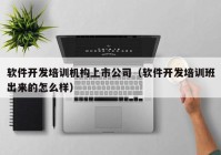 軟件開(kāi)發(fā)培訓(xùn)機(jī)構(gòu)上市公司（軟件開(kāi)發(fā)培訓(xùn)班出來(lái)的怎么樣）