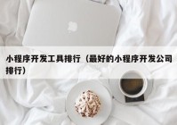 小程序開(kāi)發(fā)工具排行（最好的小程序開(kāi)發(fā)公司排行）