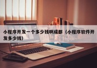 小程序開(kāi)發(fā)一個(gè)多少錢(qián)啊成都（小程序軟件開(kāi)發(fā)多少錢(qián)）