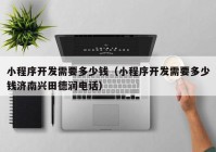 小程序開發(fā)需要多少錢（小程序開發(fā)需要多少錢濟(jì)南興田德潤電話）
