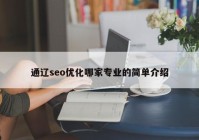通遼seo優(yōu)化哪家專業(yè)的簡(jiǎn)單介紹